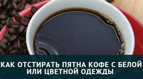 Как отстирать кофе с белой и цветной одежды одежды подручными способами? чем отстирать кофе с одежды: народные и профессиональные способы