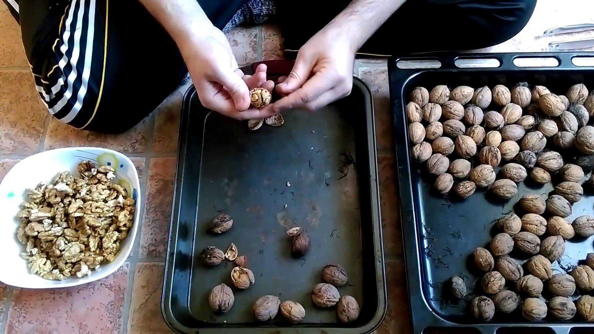 Как хранить орехи