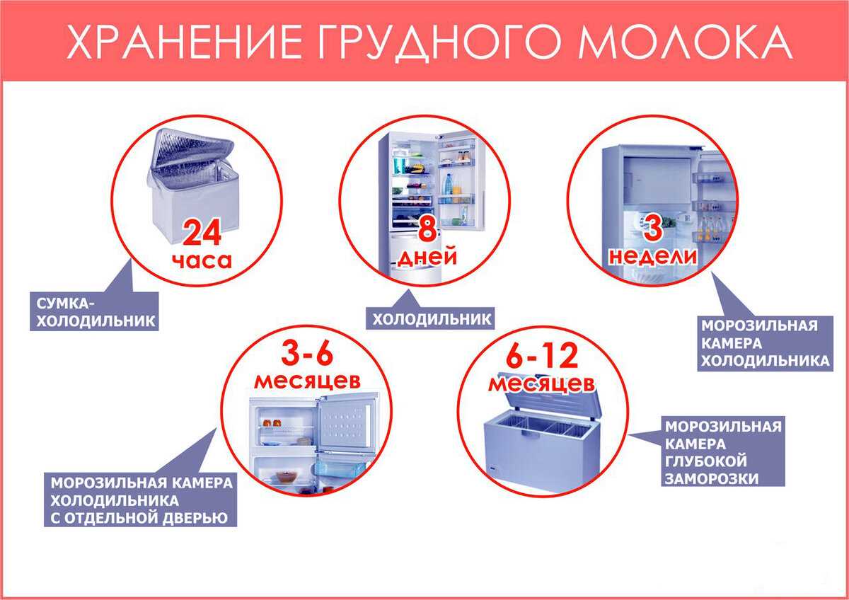 Сколько можно хранить кашу для грудничка в холодильнике