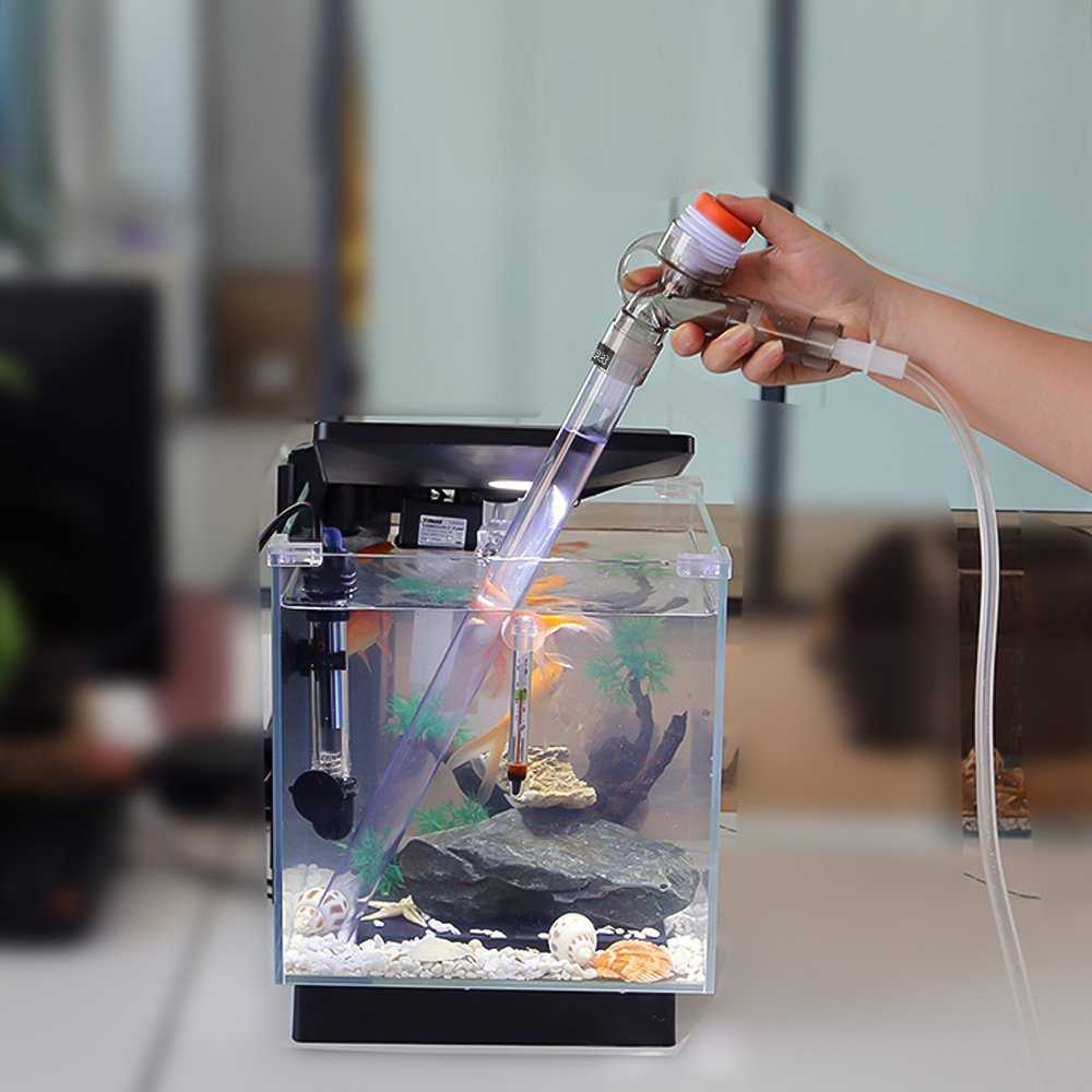 Как легко очистить аквариум в домашних условиях