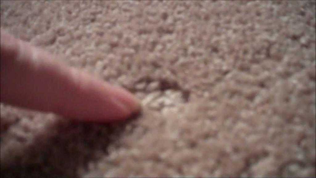 Как восстановить ворс на ковре в домашних условиях