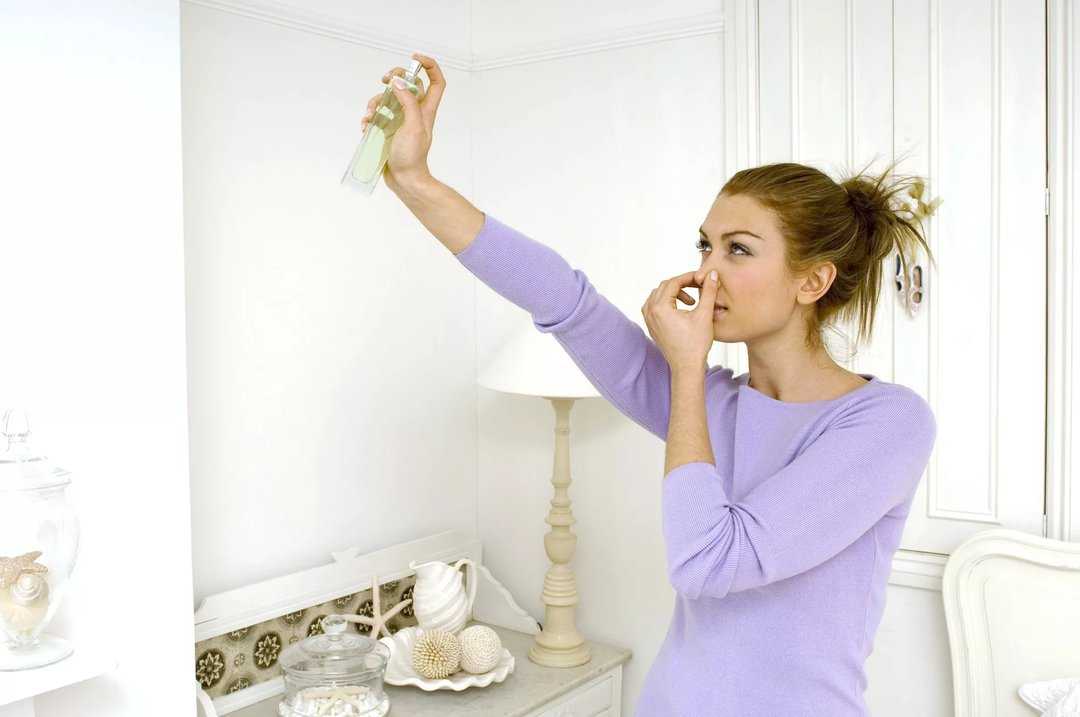 Неприятный запах в квартире: причины появления и простые способы борьбы с ним