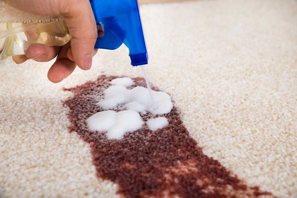 Как удалить неприятные запахи с ковровых покрытий