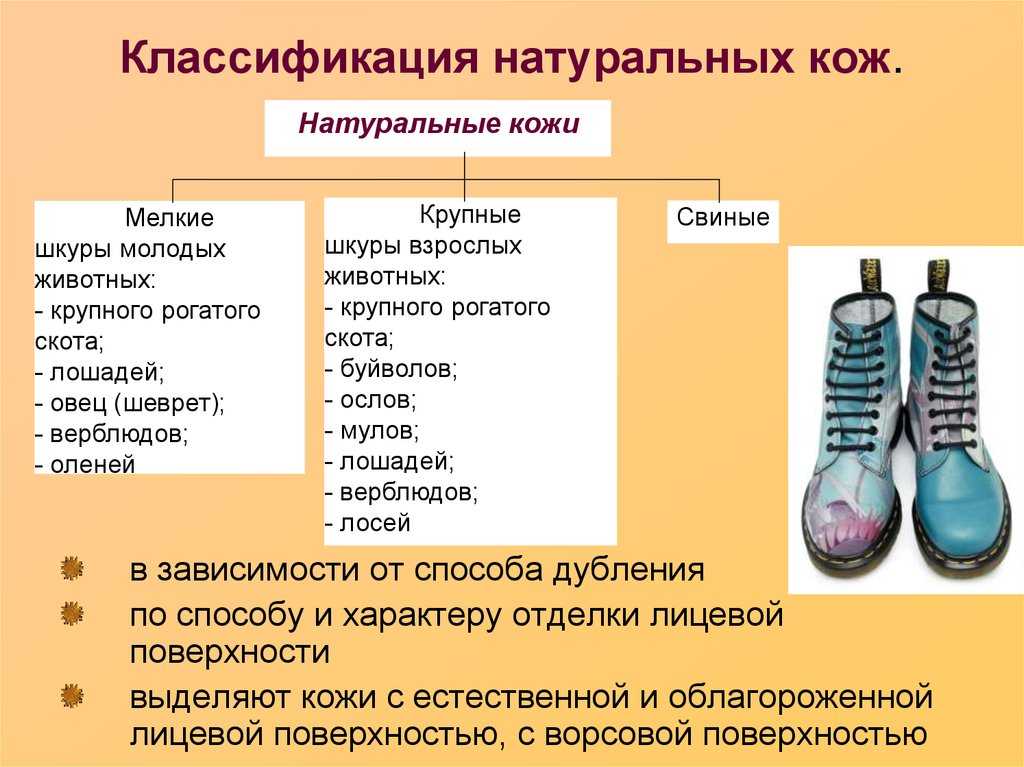 Разновидности кожи для обуви