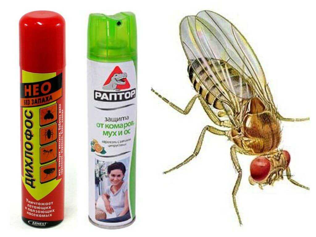 Защита от мух. Средство от насекомых. Средство от мух и насекомых. Средства борьбы с вредными насекомыми. Средство против насекомых Муха.