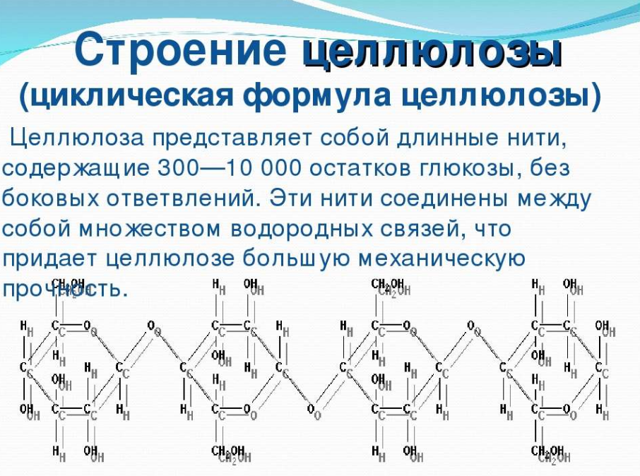 Молекула крахмала состоит. Структура молекулы целлюлозы. Целлюлоза структурная формула линейная. Строение целлюлозы формула. Целлюлоза формула линейная.