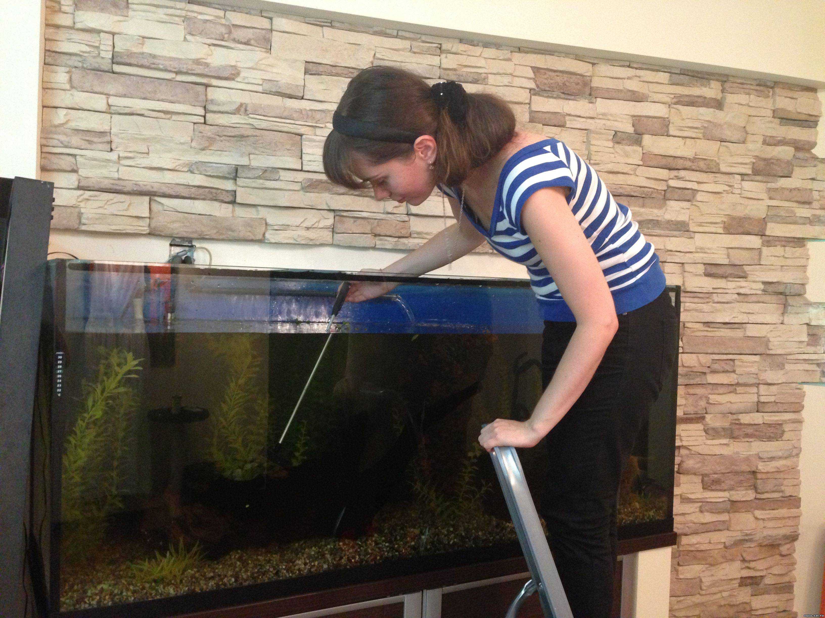 Инструкция по очистке домашнего аквариума