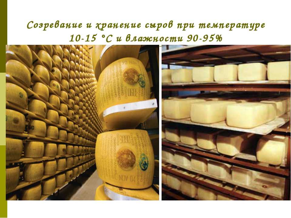 Срок годности сыра