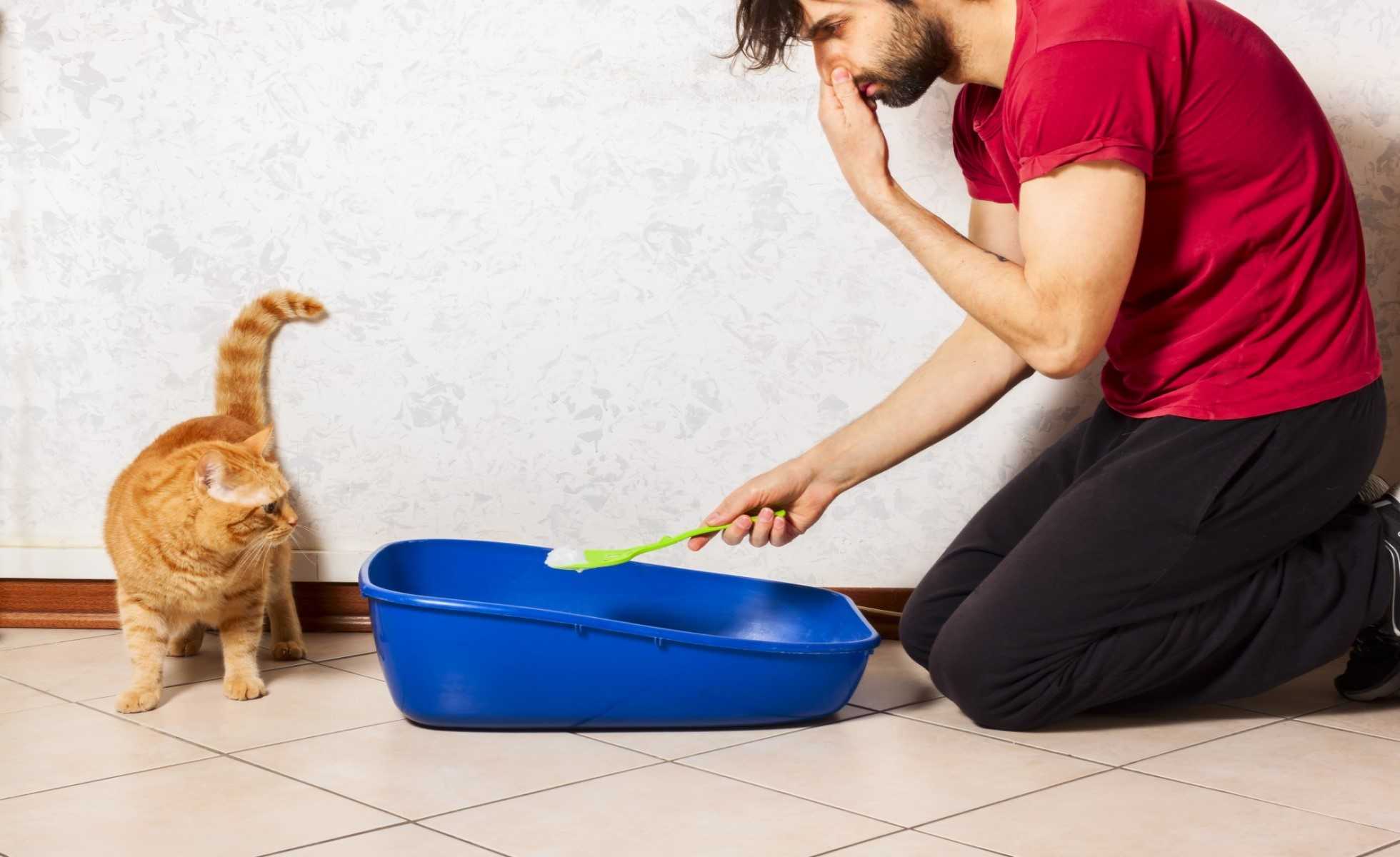 Как избавиться от запаха собаки в доме- лучшие домашние рецепты