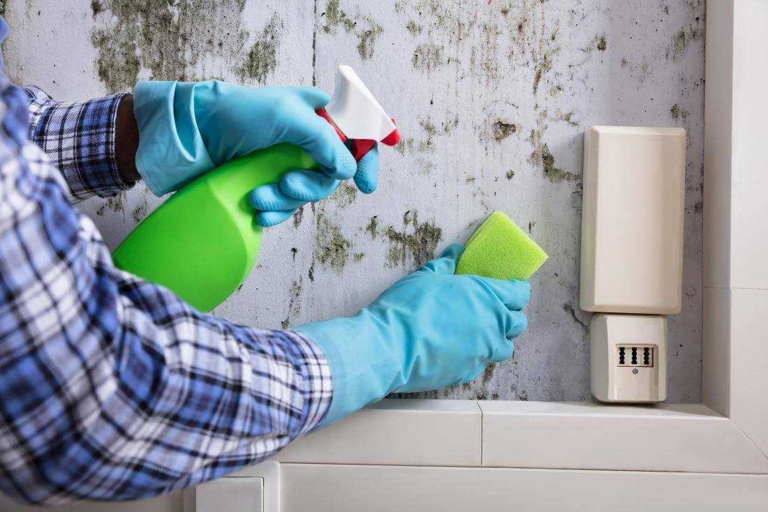 Как быстро избавиться от запаха краски после ремонта в помещении
