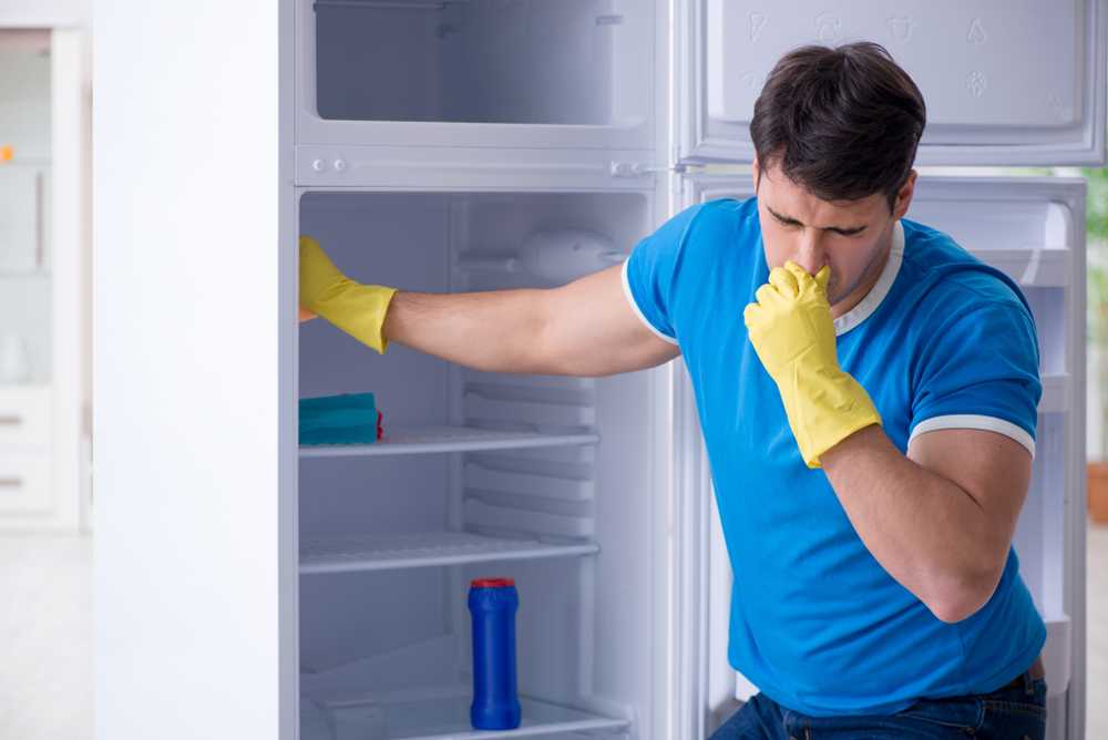 Как устранить запах в помещение, холодильнике,, машине Советы по выбору народных и химических средств для удаления запахов